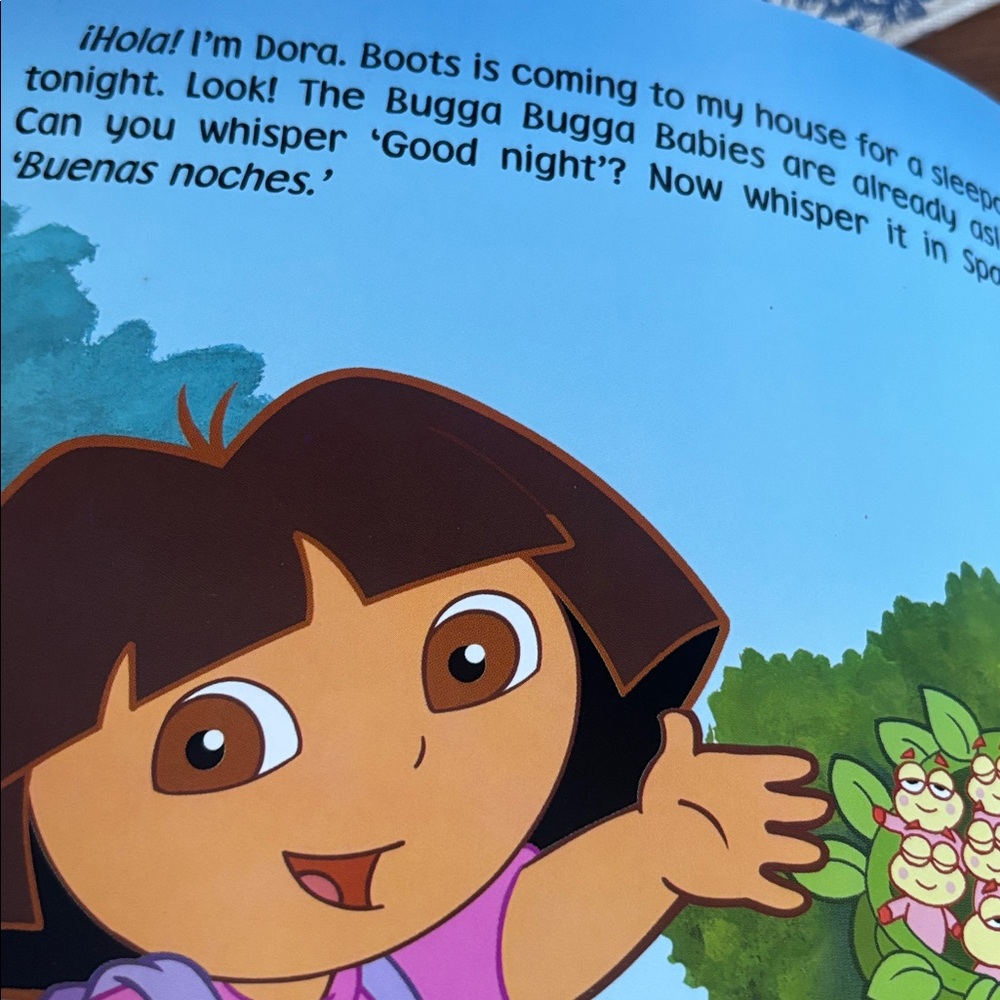 Snoozers by Sandra Boynton and Good Night Dora books - Picture 8 of 9